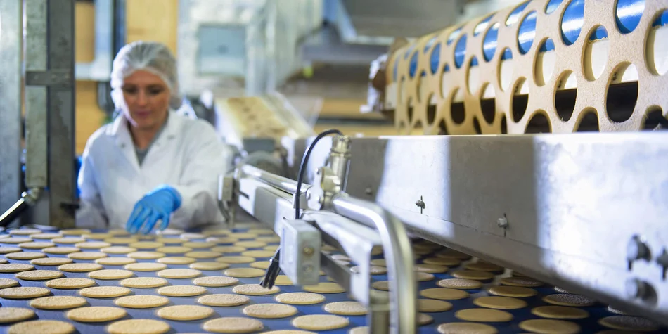 Industriële foodprocessing-productielijn